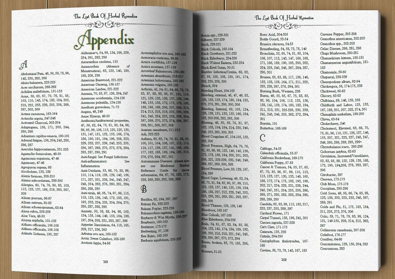 The Lost Book of Herbal Remedies