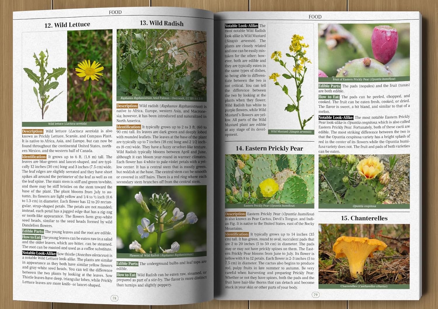 Wilderness Long-Term Survival Guide